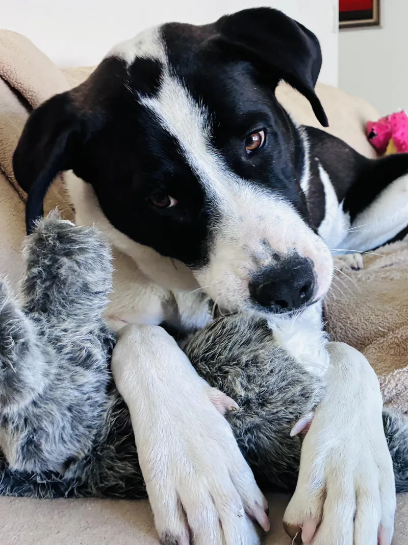 Rosie