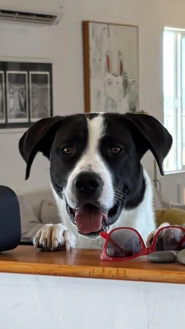Rosie thumbnail 3