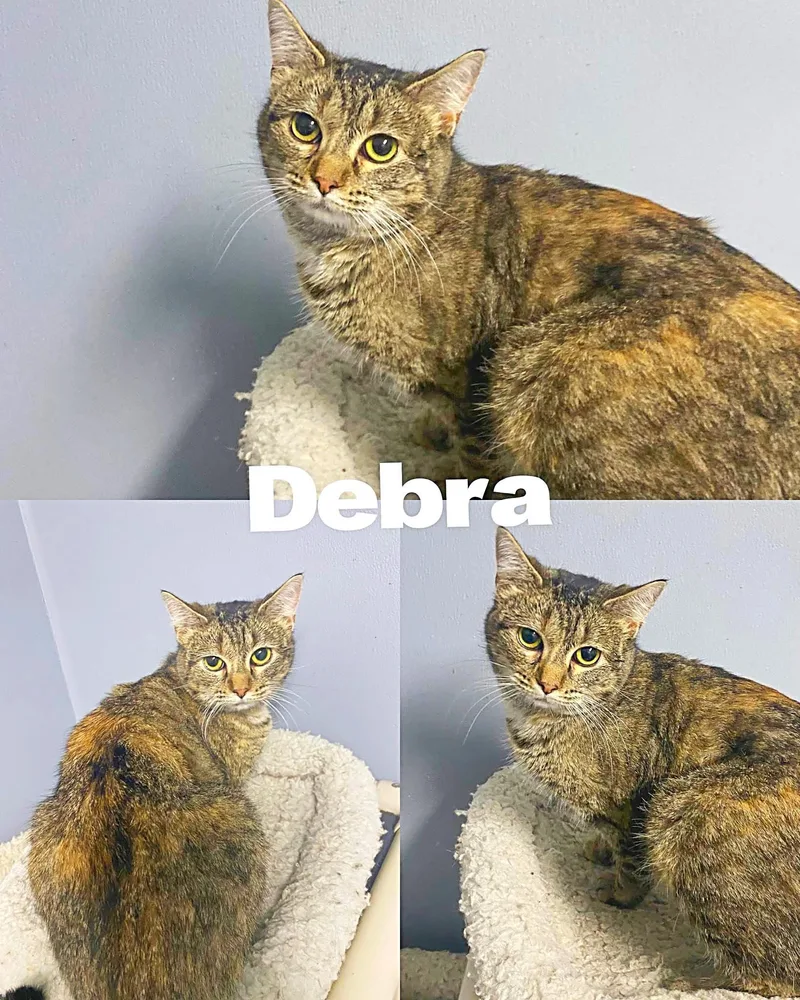 Debra