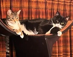 Peter And Cindy thumbnail 2