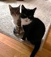 Peter And Cindy thumbnail 3