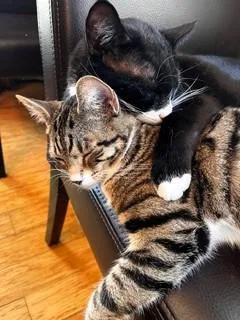 Peter And Cindy thumbnail 4