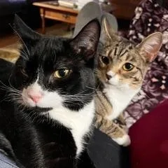 Peter And Cindy thumbnail 5