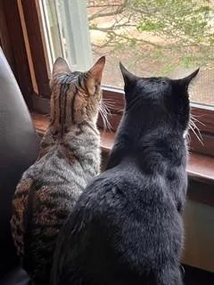 Peter And Cindy thumbnail 6