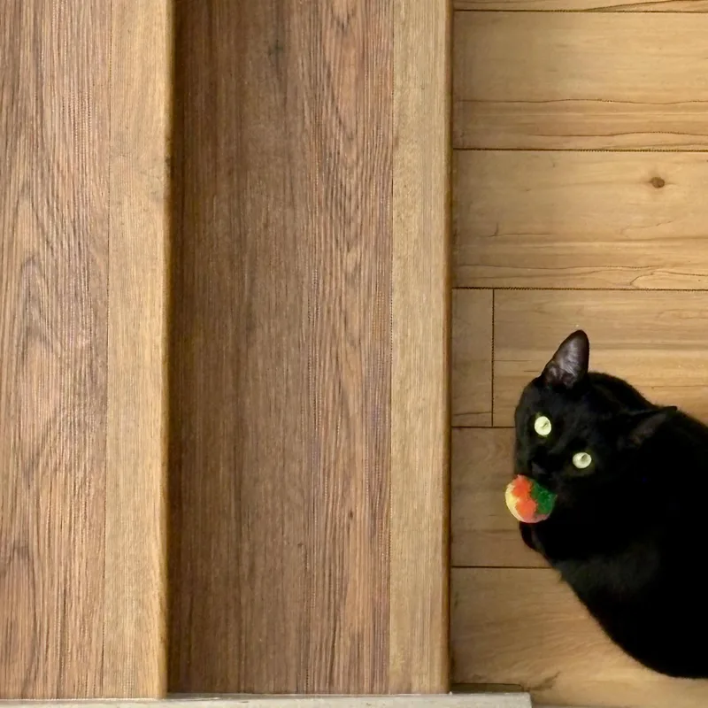 Willow thumbnail 2