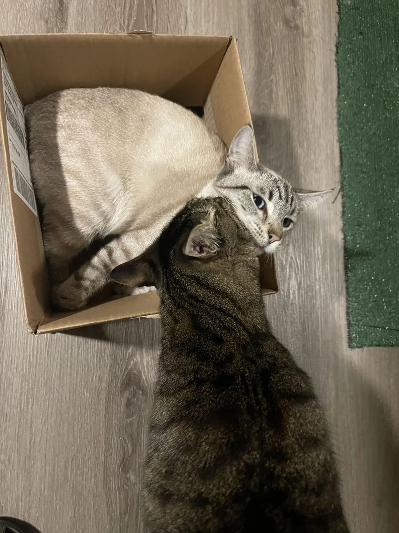 Francisco & Freeway thumbnail 3