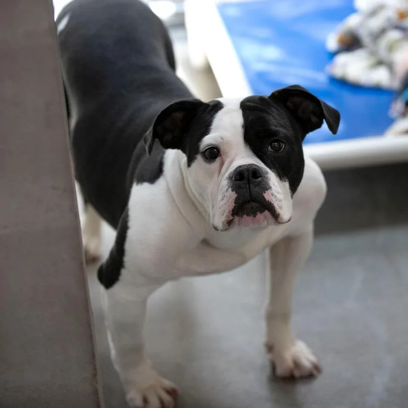 Woofie Goldberg thumbnail 2
