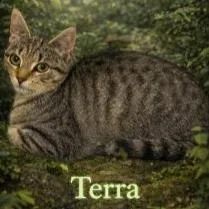 Terra