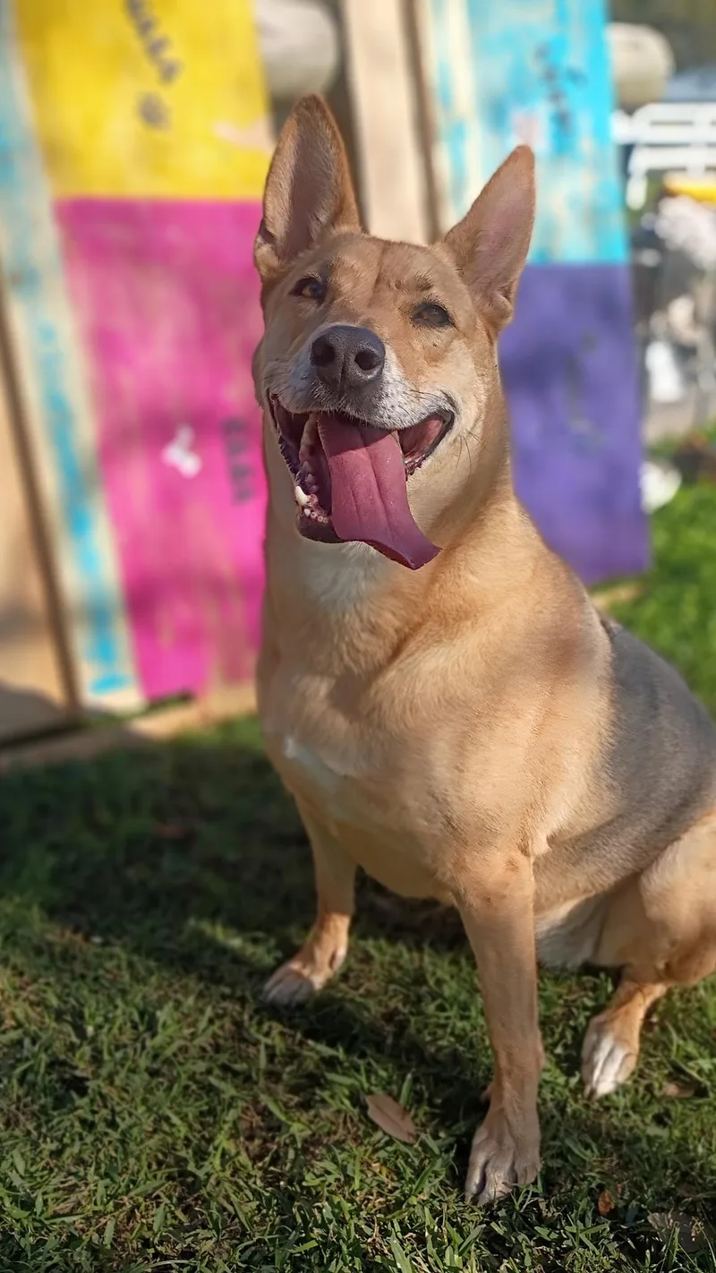 Melodylike Sunshine On Your thumbnail 2