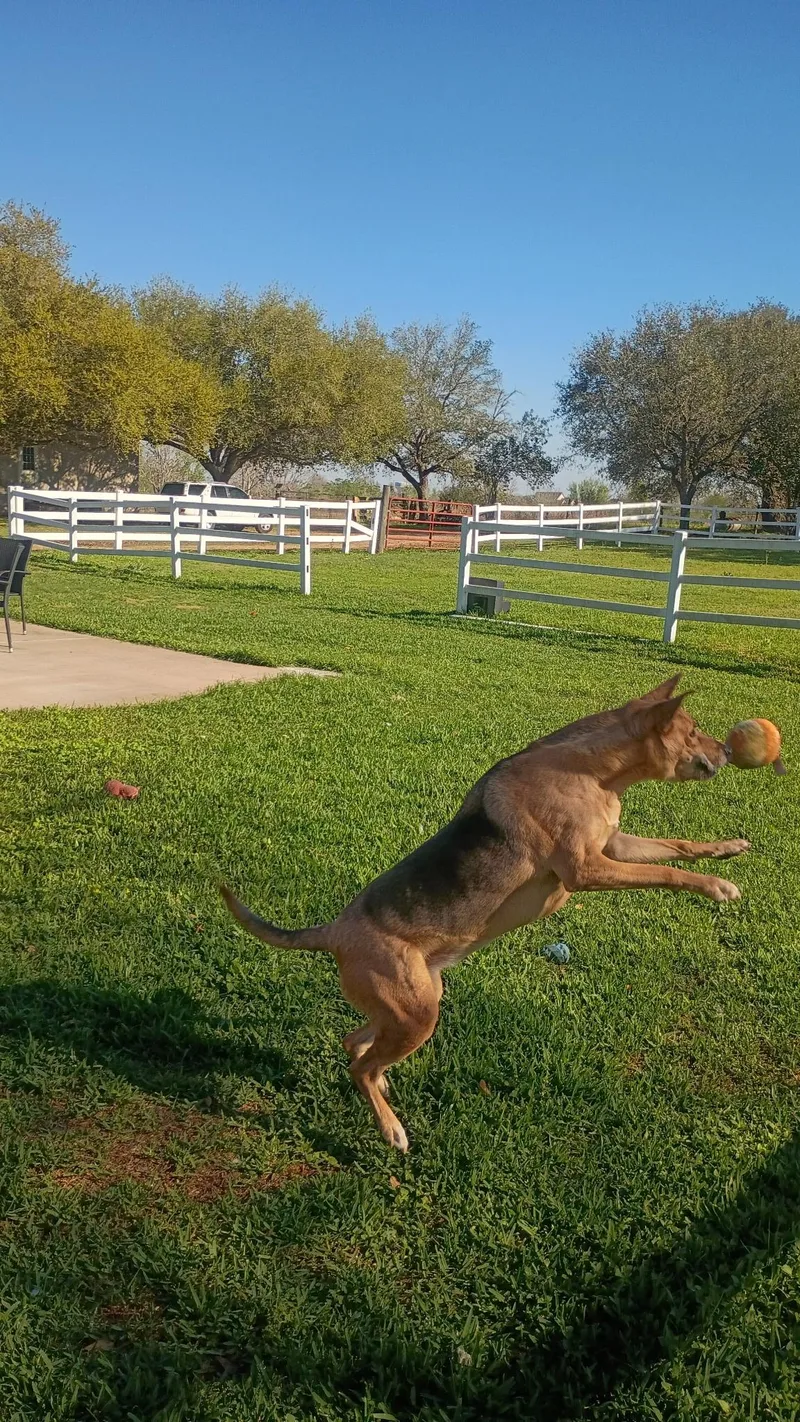 Melodylike Sunshine On Your thumbnail 4