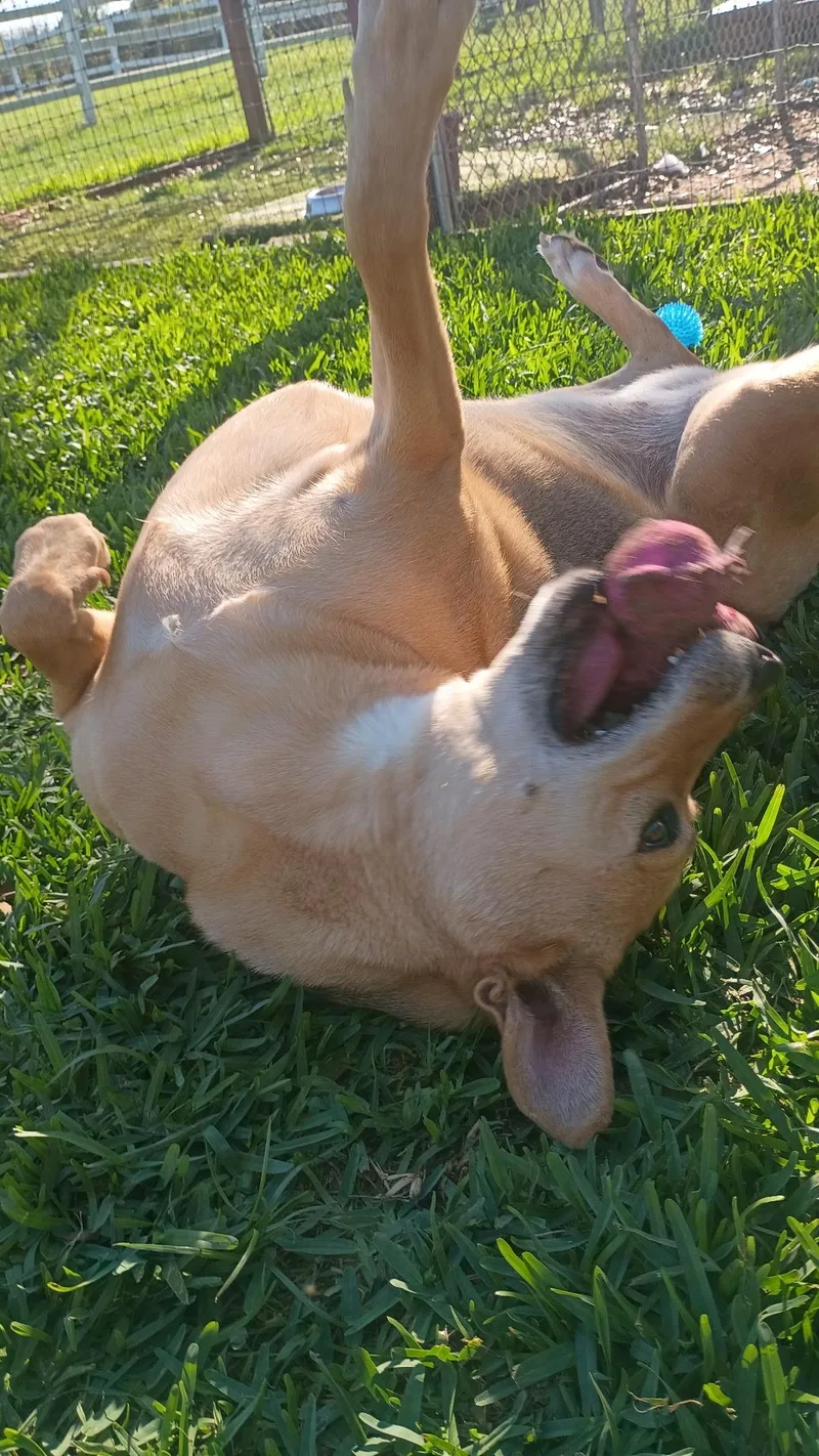 Melodylike Sunshine On Your thumbnail 5