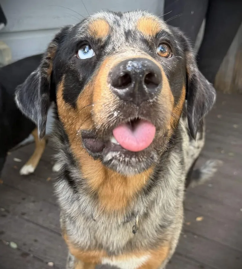 Sadie