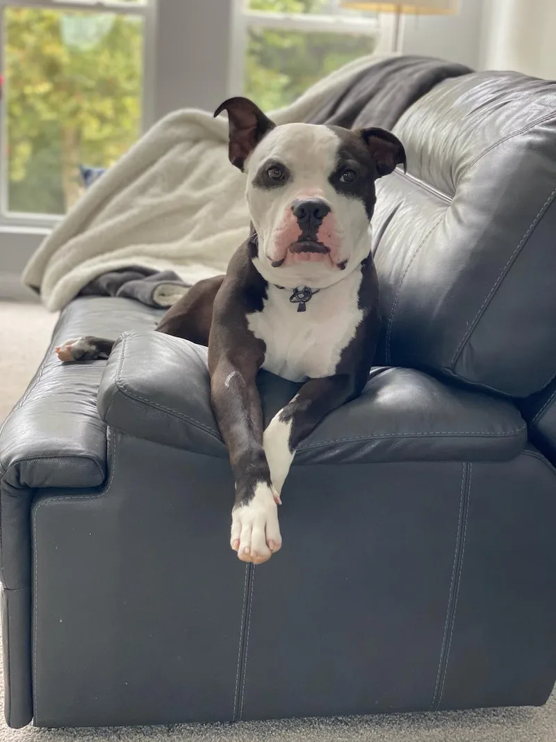 Churchill thumbnail 5