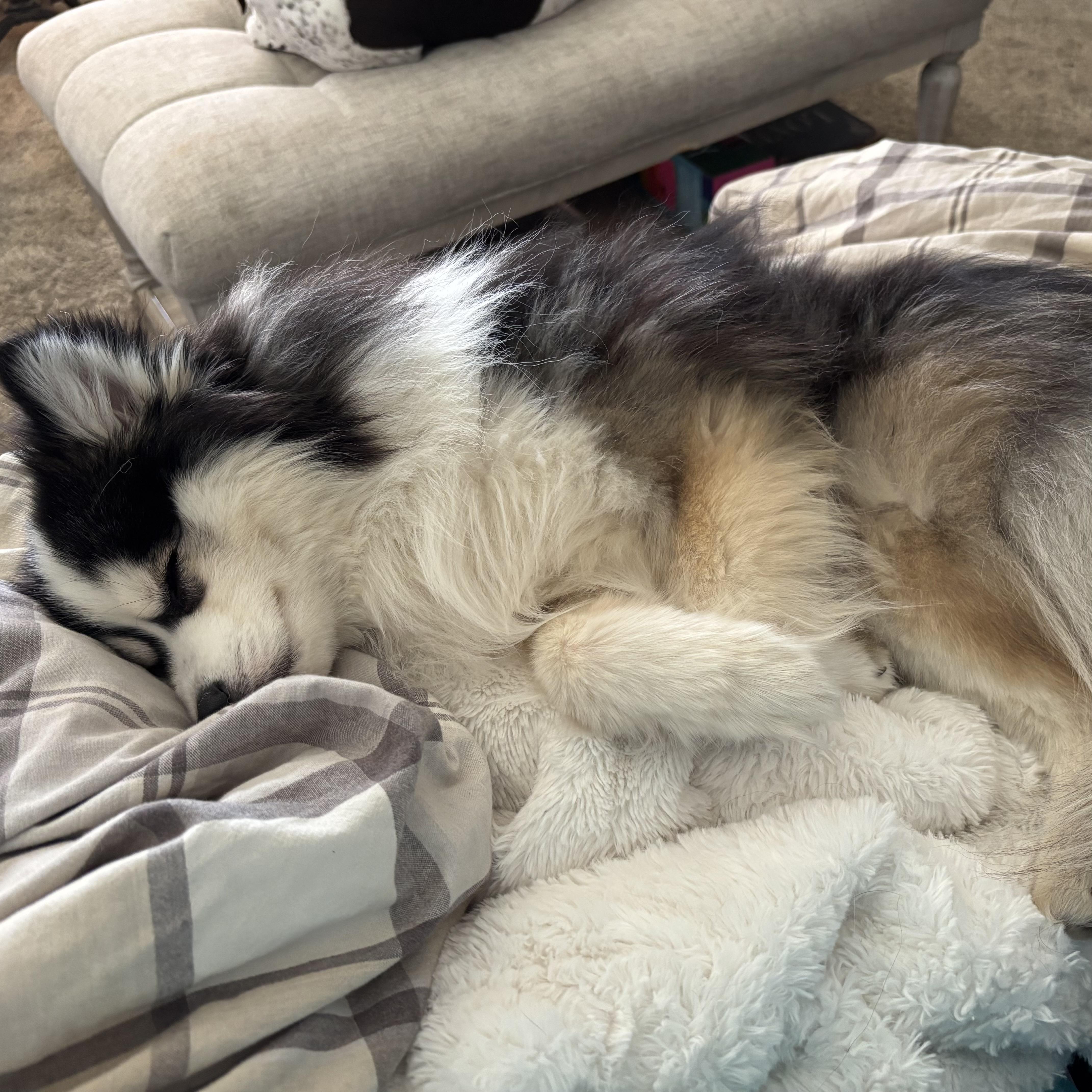 Loki thumbnail 4