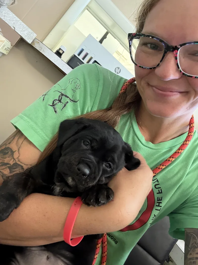Lettie and her pups thumbnail 4