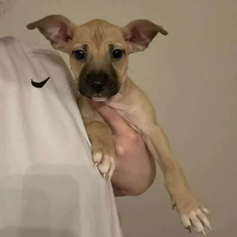 Mercedes thumbnail 2