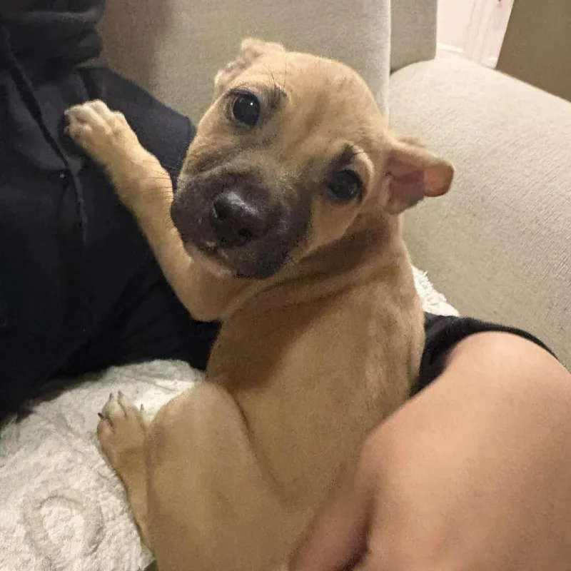 Mercedes thumbnail 3