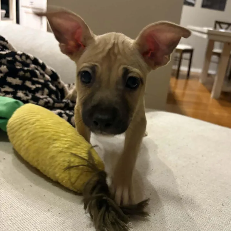 Mercedes thumbnail 4