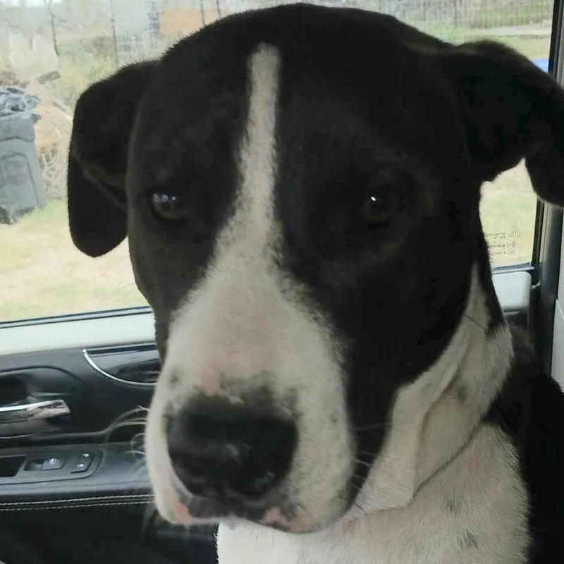 Juan Carlos thumbnail 2