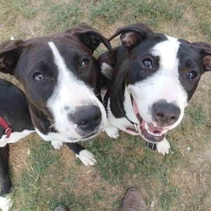 Juan Carlos thumbnail 3