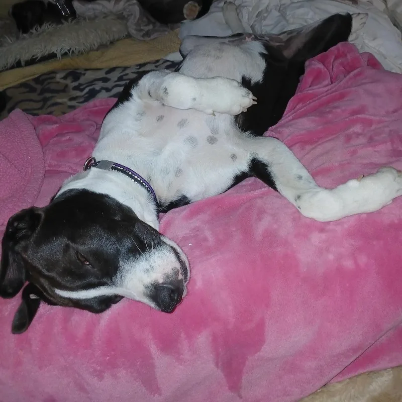 Juan Carlos thumbnail 4