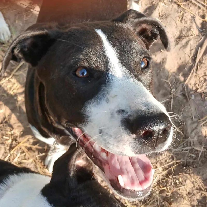 Juan Carlos thumbnail 5