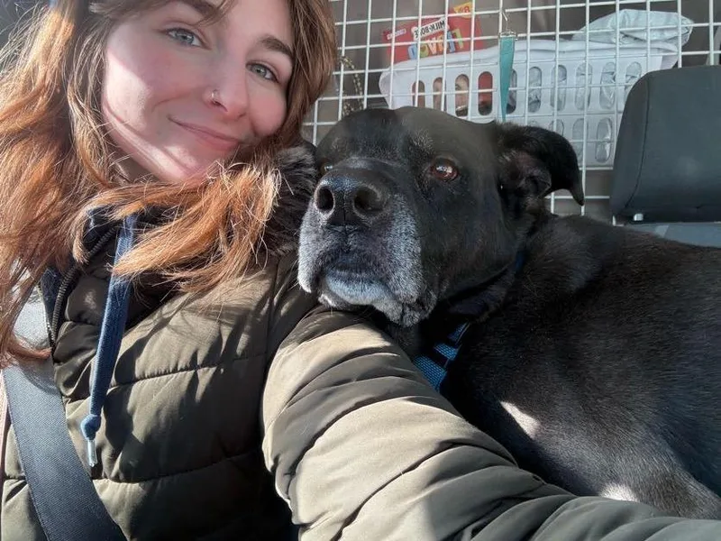 Dozer And Minni thumbnail 2