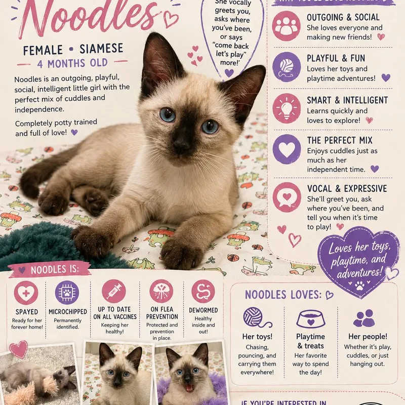 Noodles thumbnail 2