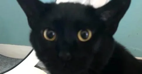 George aka Smokey George thumbnail 2