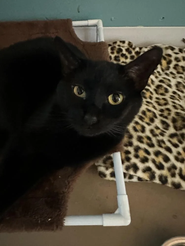George aka Smokey George thumbnail 5