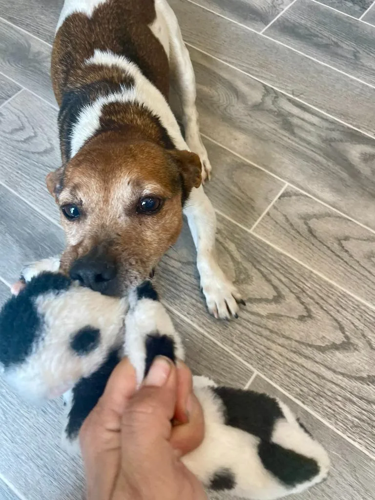 Walter White thumbnail 2