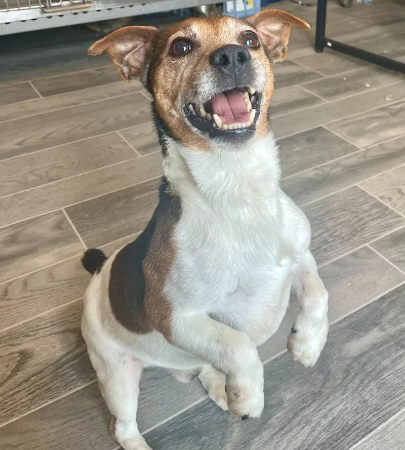 Walter White thumbnail 3