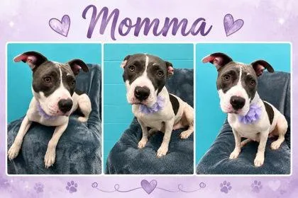 Momma thumbnail 2