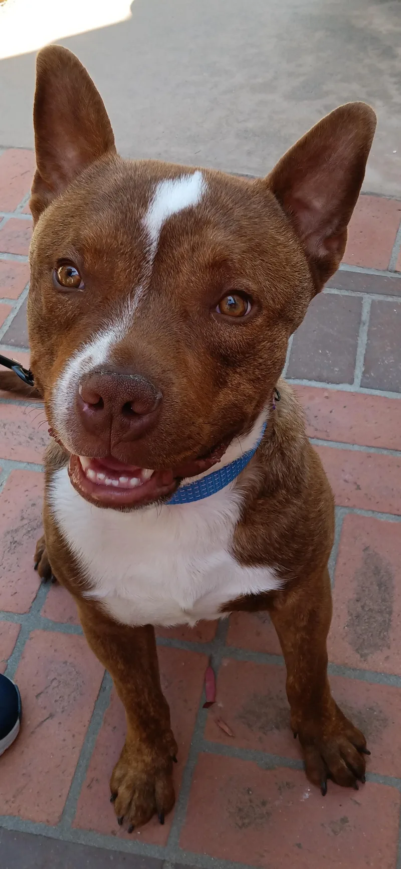 Buster