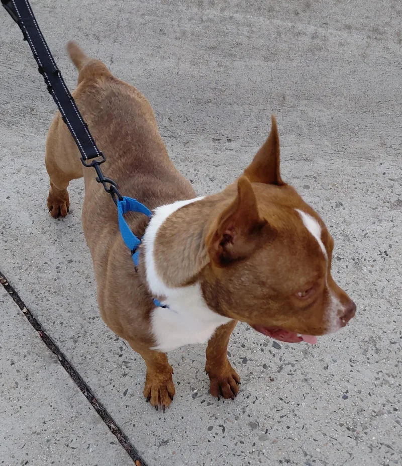 Buster thumbnail 3