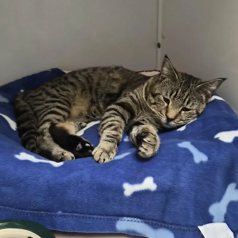 Nevermore thumbnail 2