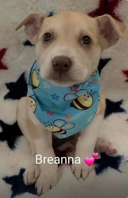 Breanna