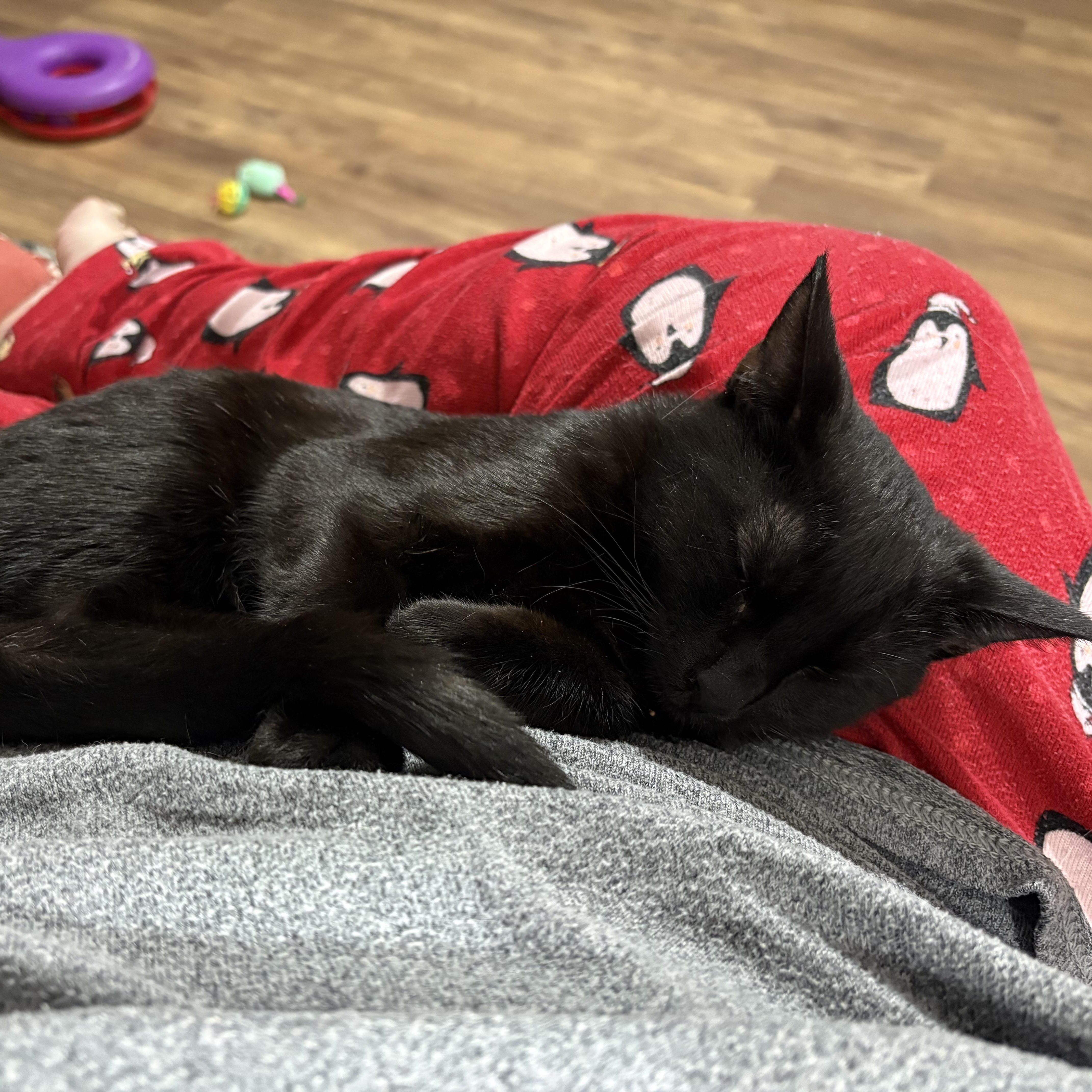 Andrea aka Dre thumbnail 3