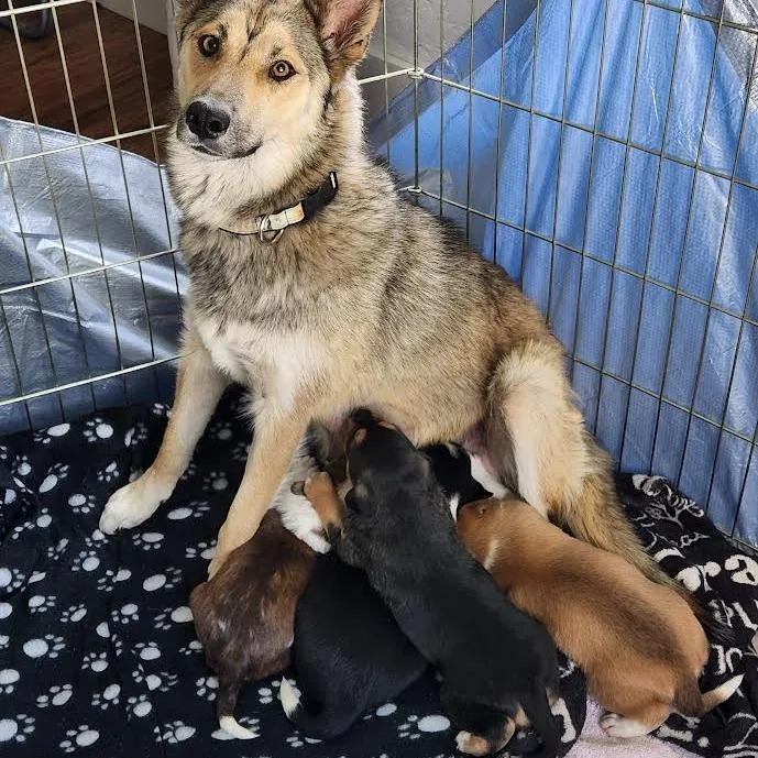 Funkyfresh thumbnail 2