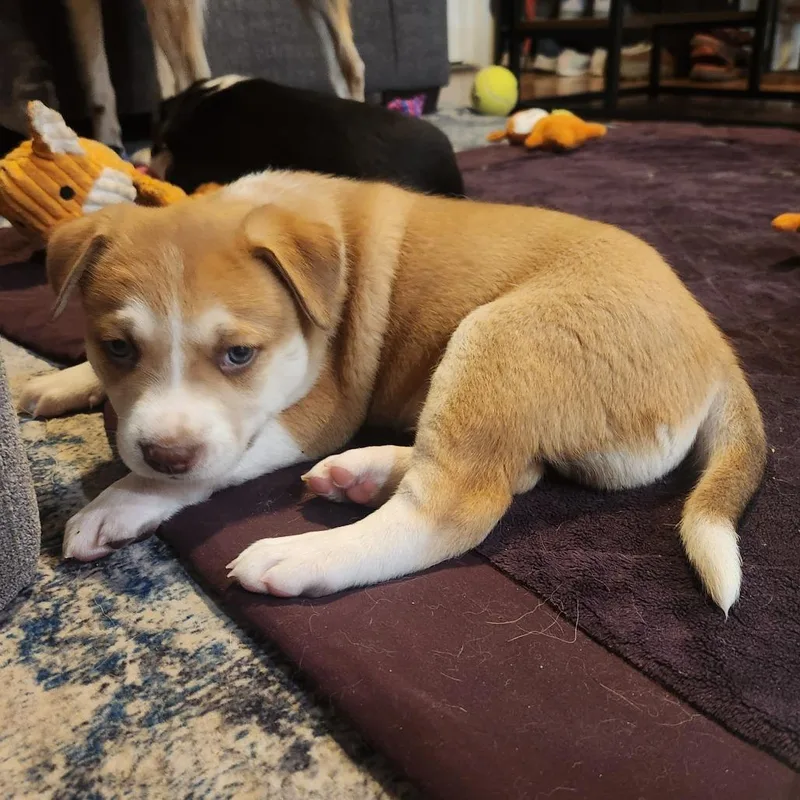 Funkyfresh thumbnail 3