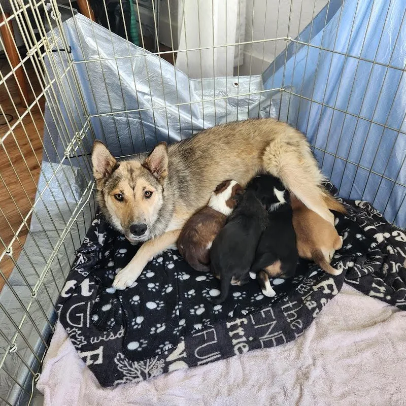 Funkyfresh thumbnail 4