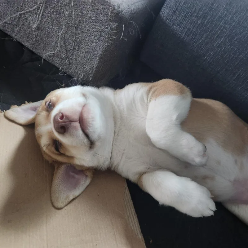 Funkyfresh thumbnail 5