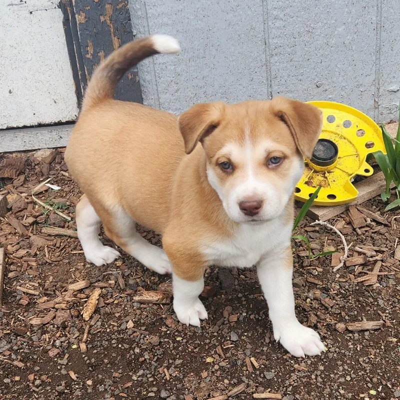 Funkyfresh thumbnail 6