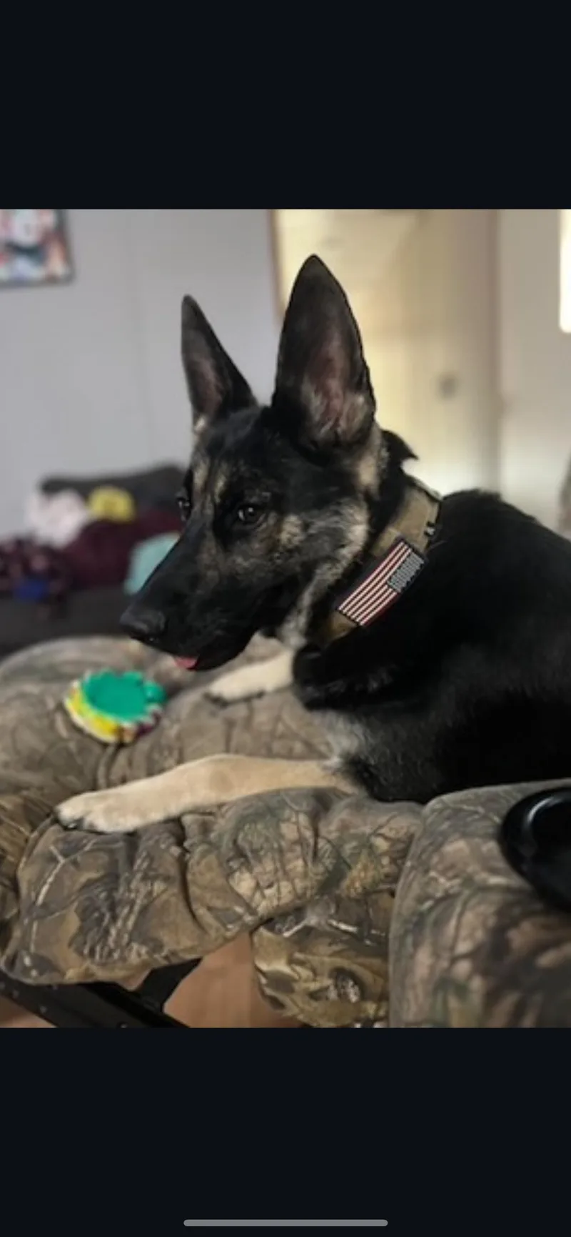 Roxy Community Post