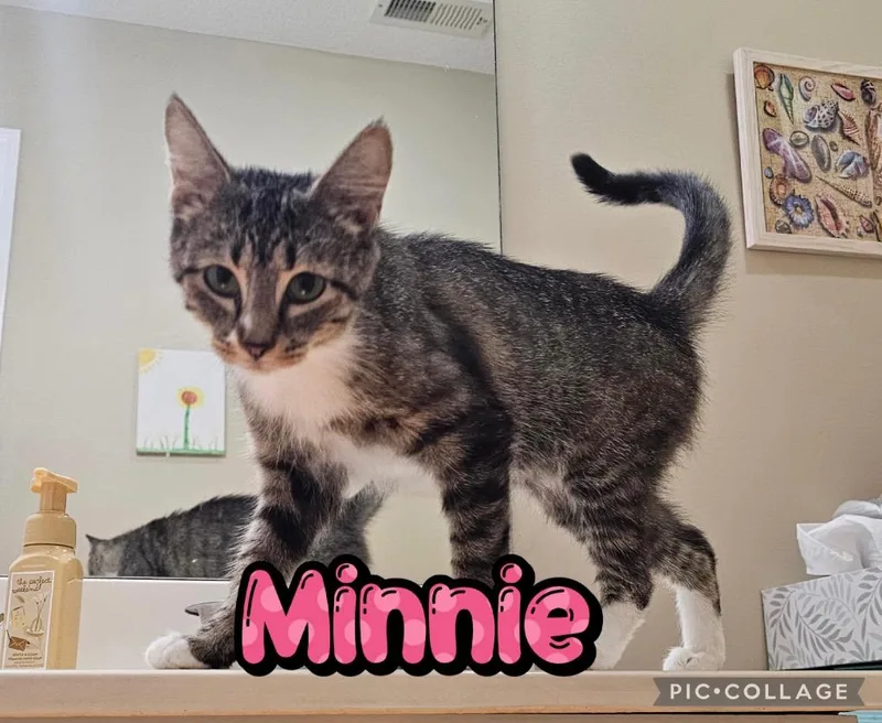 Minnie thumbnail 2
