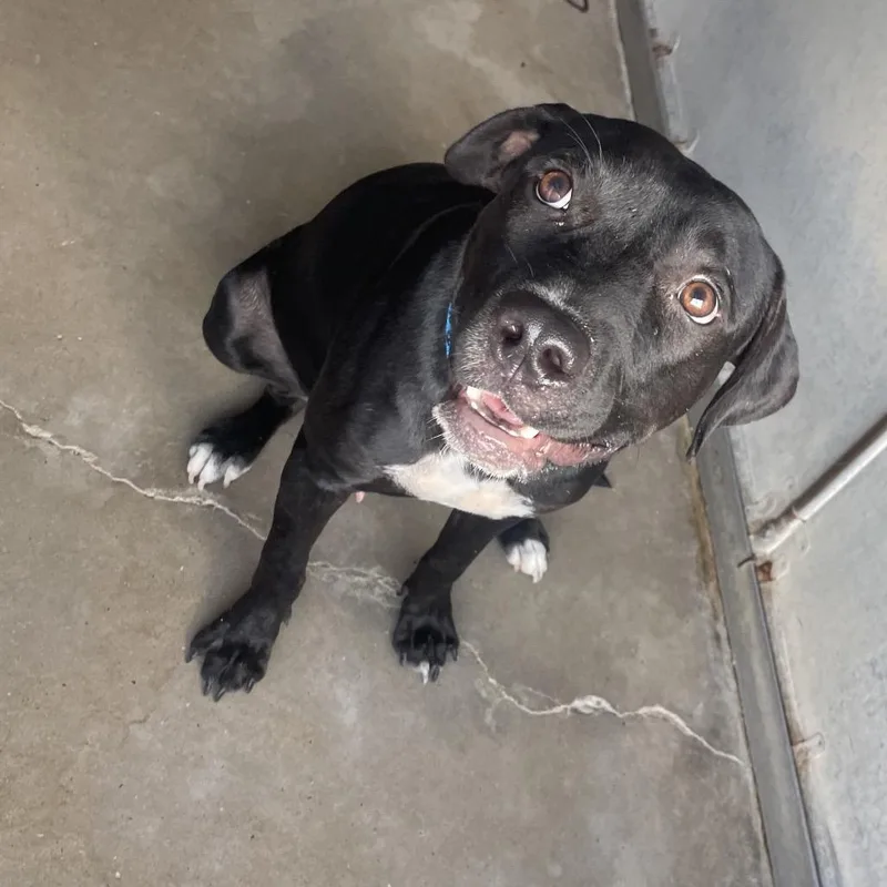 Robert De Niro thumbnail 5