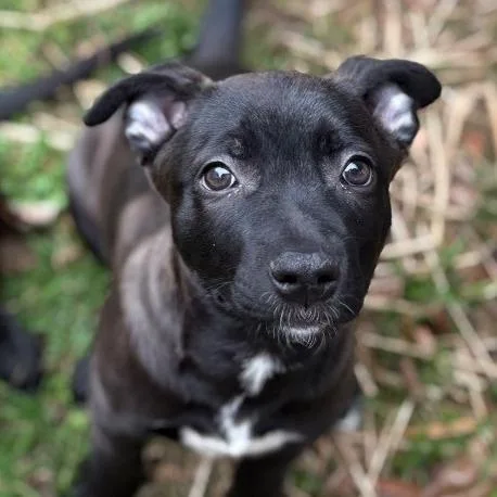 Champagne thumbnail 5