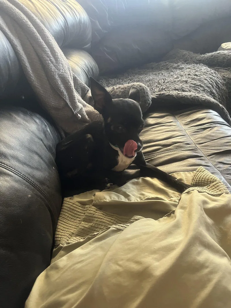 Binky