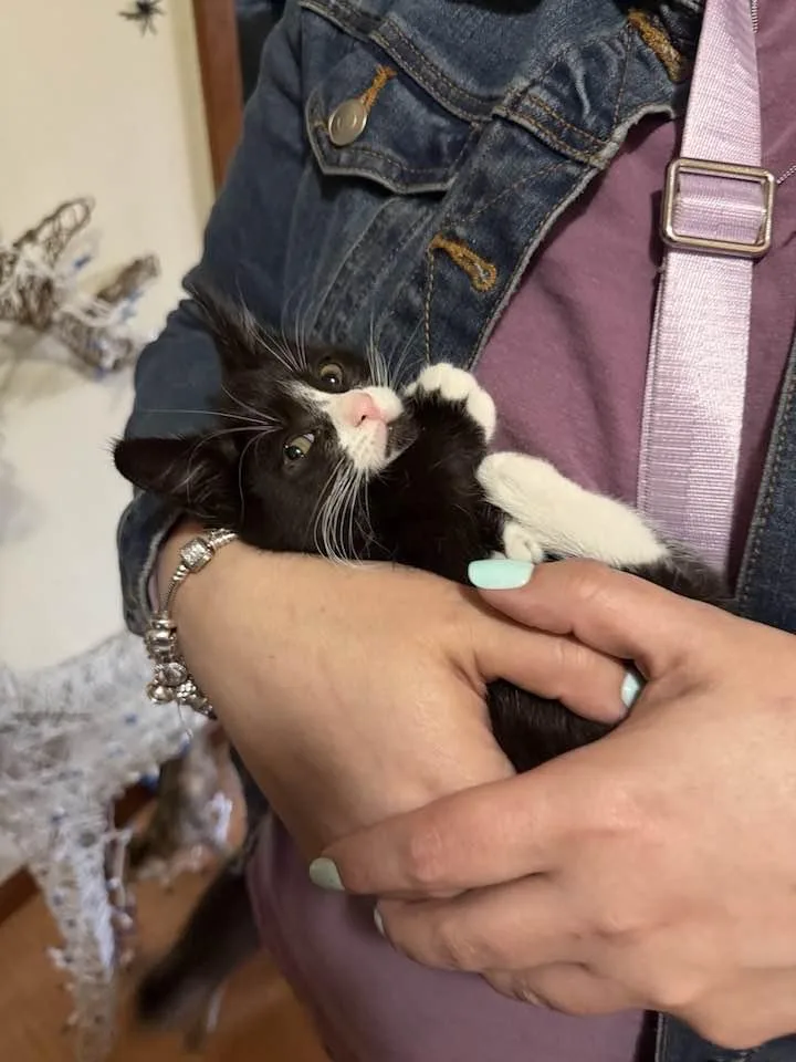 Prince Constantine thumbnail 3