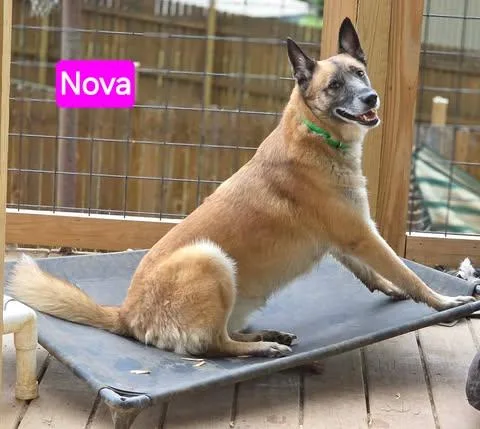 Nova thumbnail 3